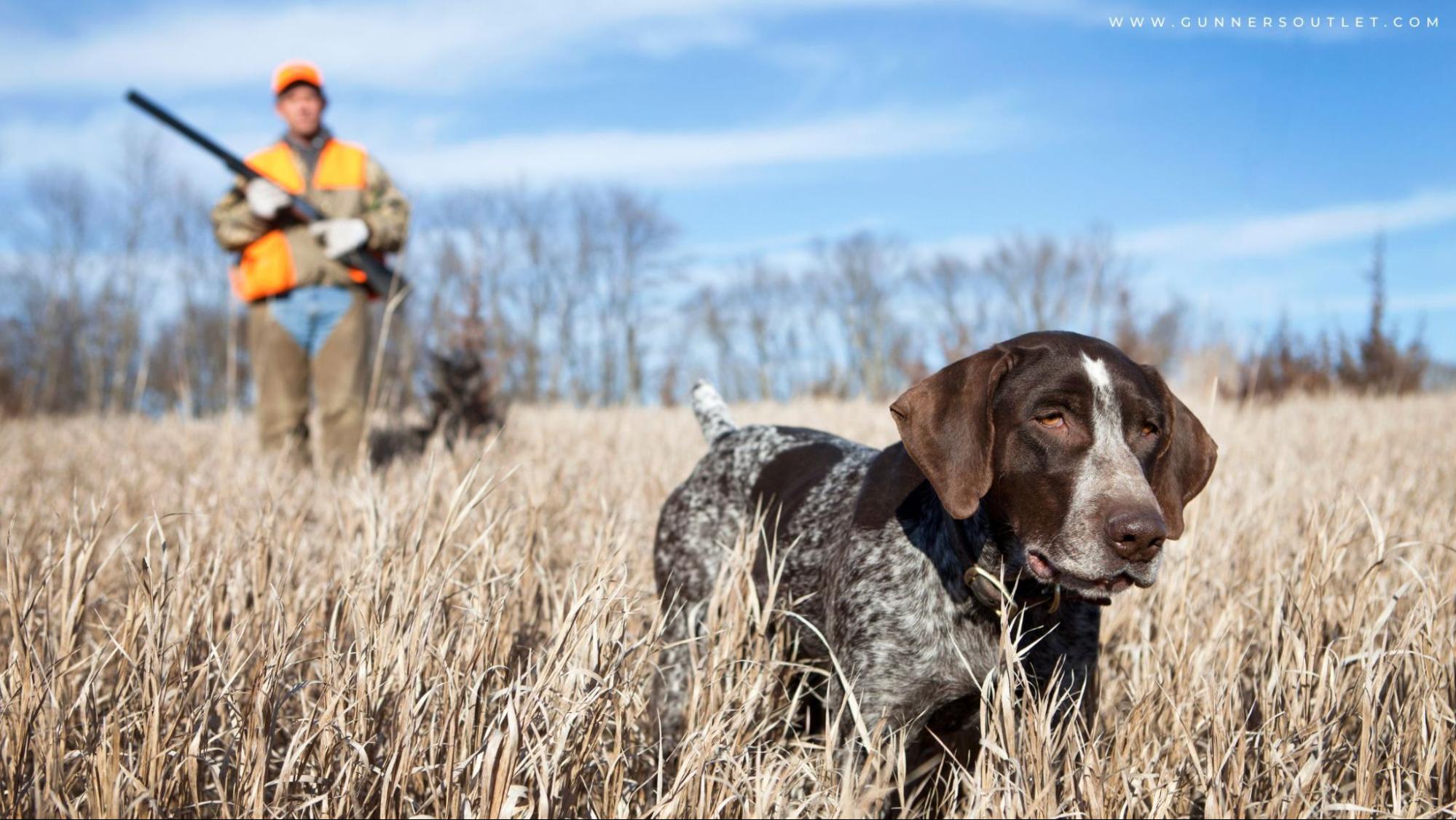 Hunting 101: Top 10 Games