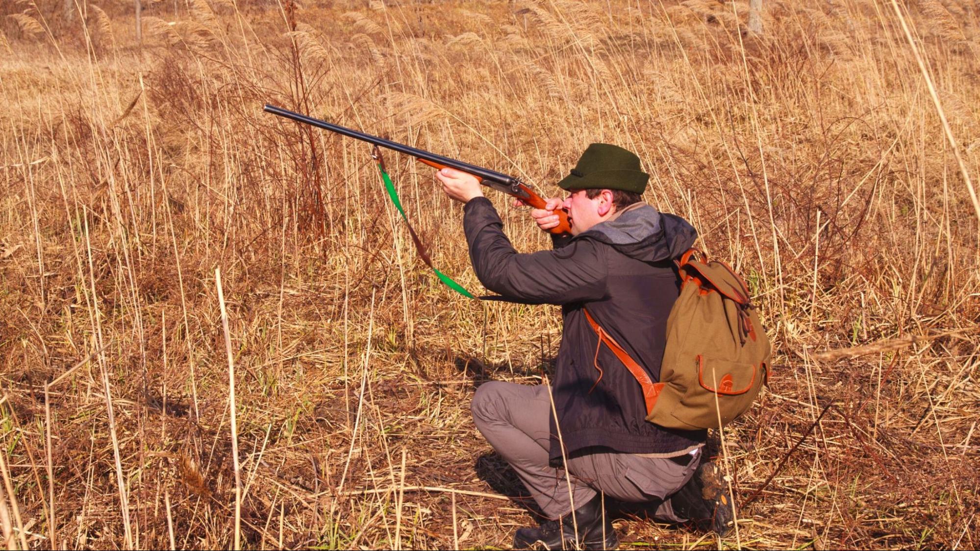 The Five Key Points of Hunting