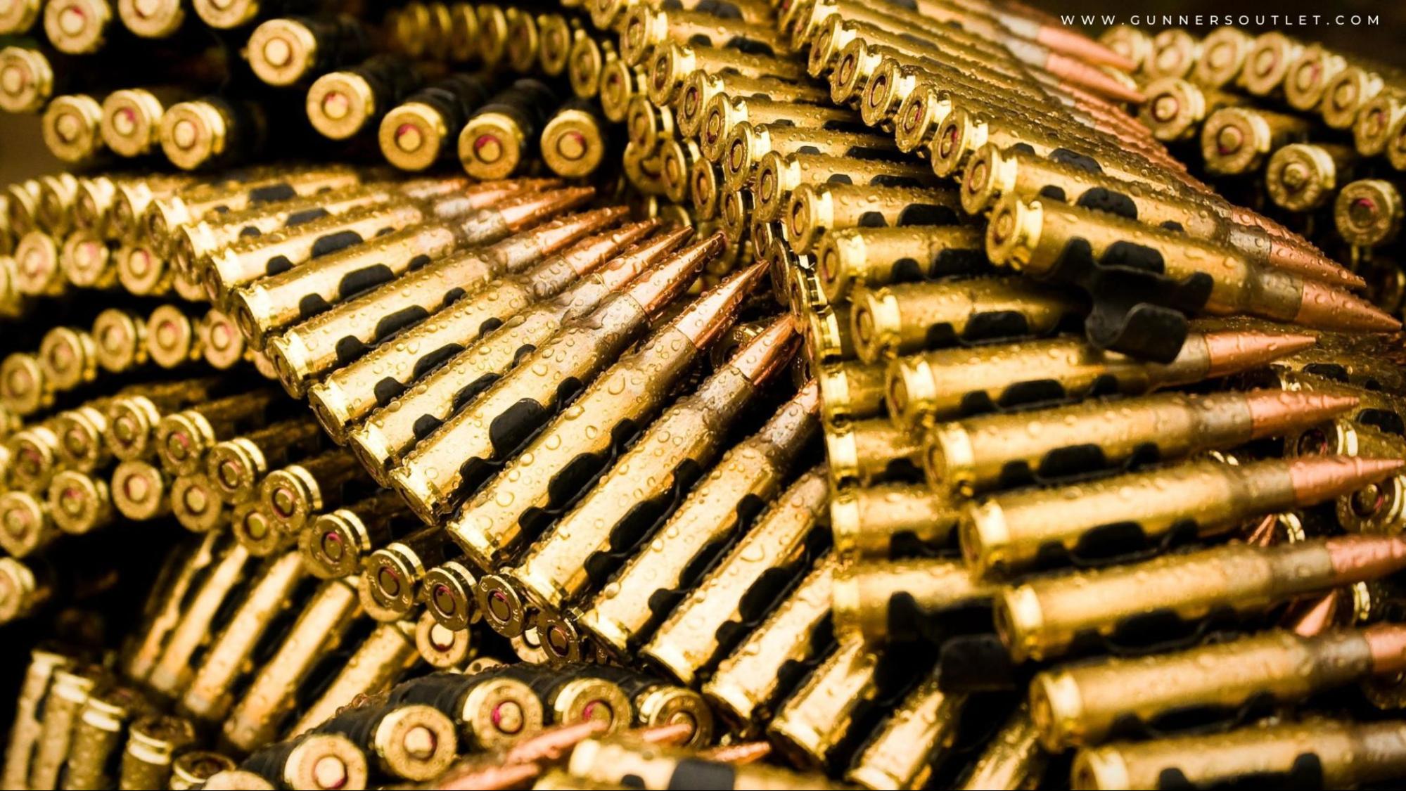 The Top 10 Rifle Ammunitions for Hunters